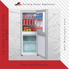 Silver Fetolehang Boemo Lebili Double Monyako Frigidaire Sehatsetsi BCD-156W